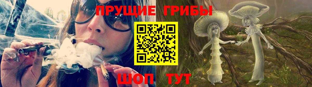 Галлюциногенные грибы Magic Shrooms  Вход с VPN  Сертолово  Псилоцибиновые грибы мицелий 